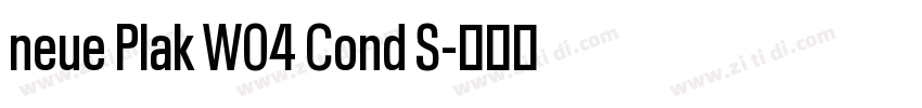 neue Plak W04 Cond S字体转换